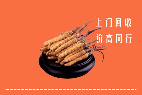 高价求购：兴安盟回收散虫草