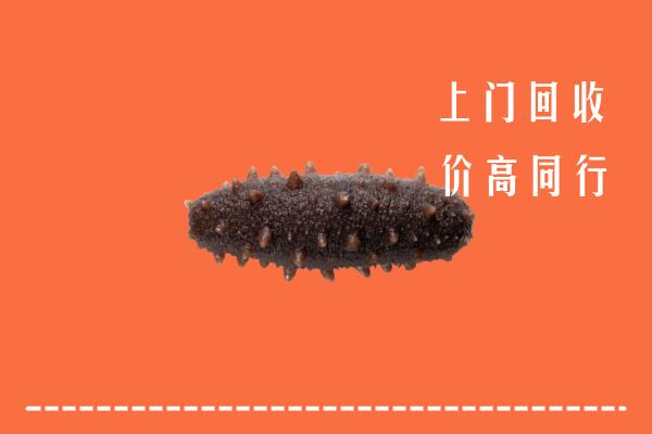兴安盟回收海参