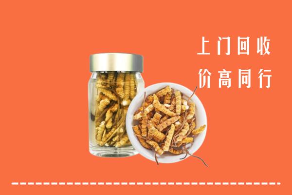 兴安盟回收冬虫夏草